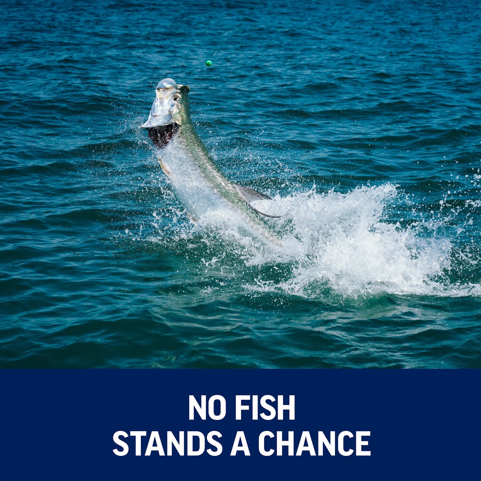 Battle® II Spinning Reel, 2500 Size Fishing Reel