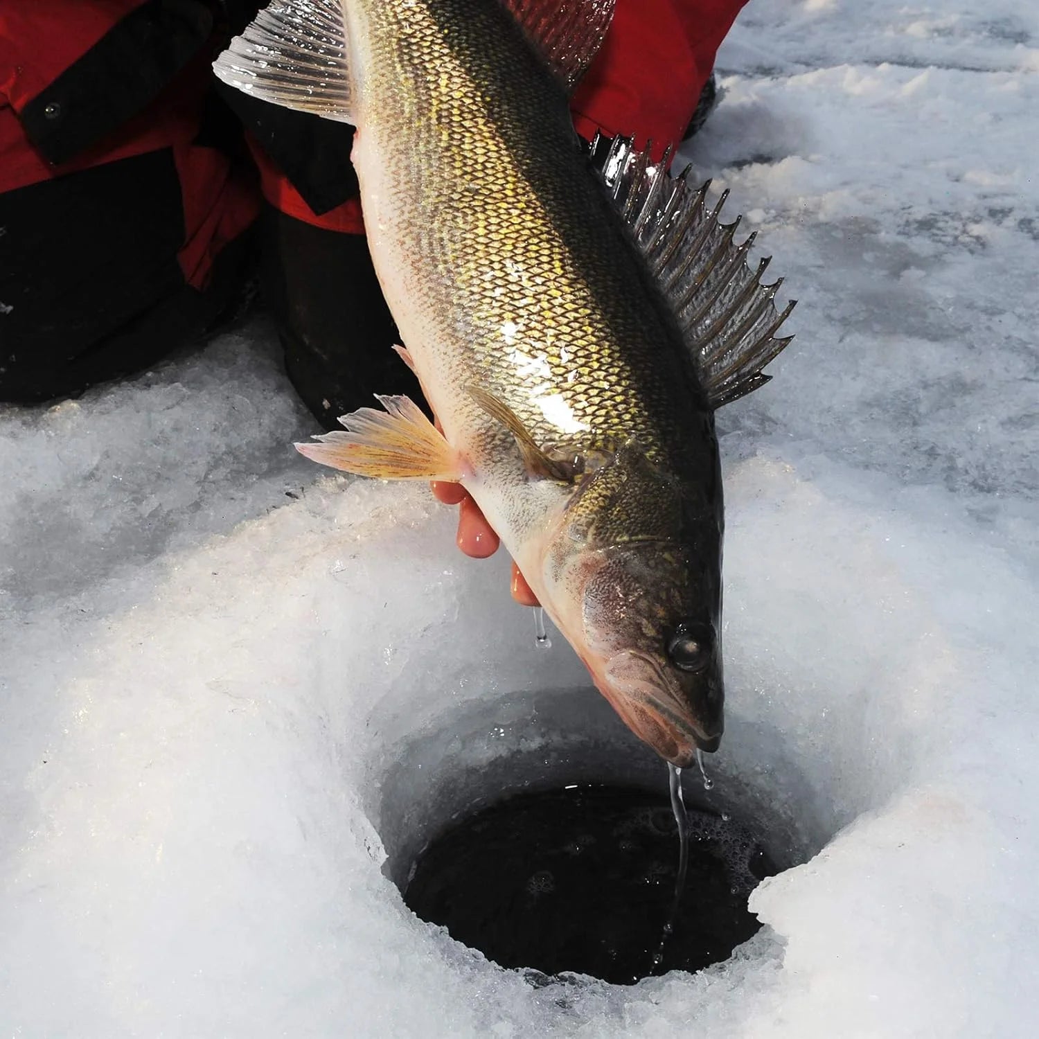 500 Spinning Reel Graphite Frame 5.2:1 Gear Ratio 7+1 Ball Bearings Fresh and Saltwater-Zephyr-Black