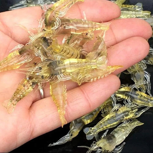 30 Pcs Soft Shrimp Bait Fishing Gear Simulation Fake Bait Grass Shrimp Lures Cost-Effective Convenient Soft Lures, Baits and Attractants（4Cm）